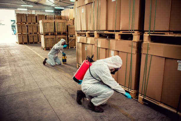 Reliable Absecon Highlands, NJ Pest Control Solutions