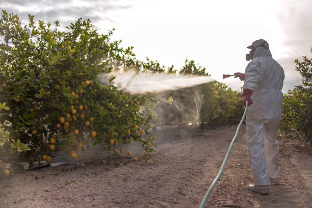 Best Commercial Pest Control Services  in Absecon Highlands, NJ