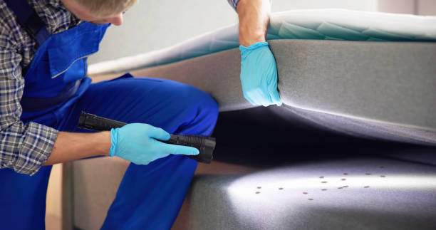 Best Pest Inspection Near Me  in Absecon Highlands, NJ