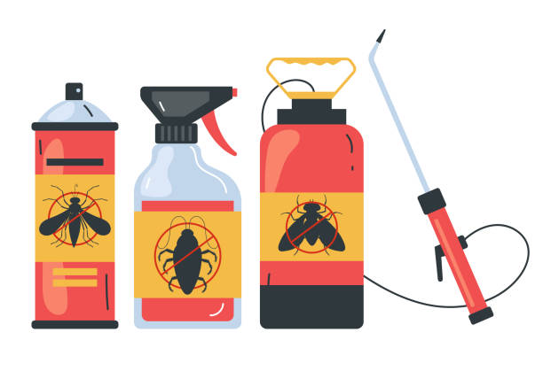 Best Termite Control Services  in Absecon Highlands, NJ