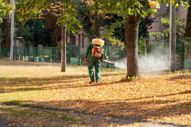 Best Exterminator Services  in Absecon Highlands, NJ