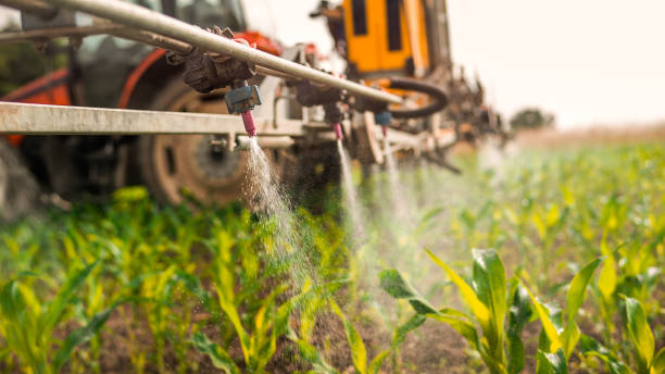 Best Ant Control Services  in Absecon Highlands, NJ